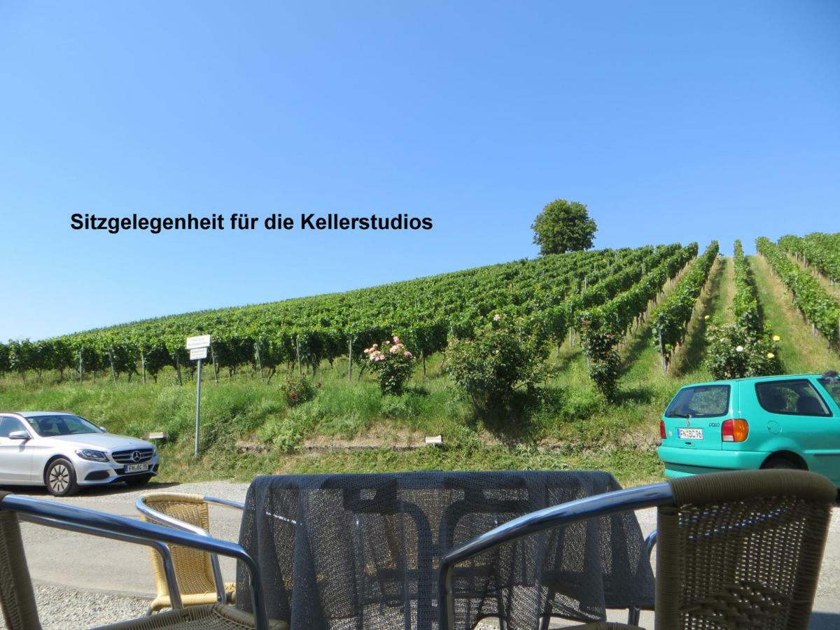 Gaestehaus Sommertal Mit Pool Im Garten, Eigener Parkplatz, 800M Zum Bodensee, 300M Zur Altstadt Meersburg Dış mekan fotoğraf